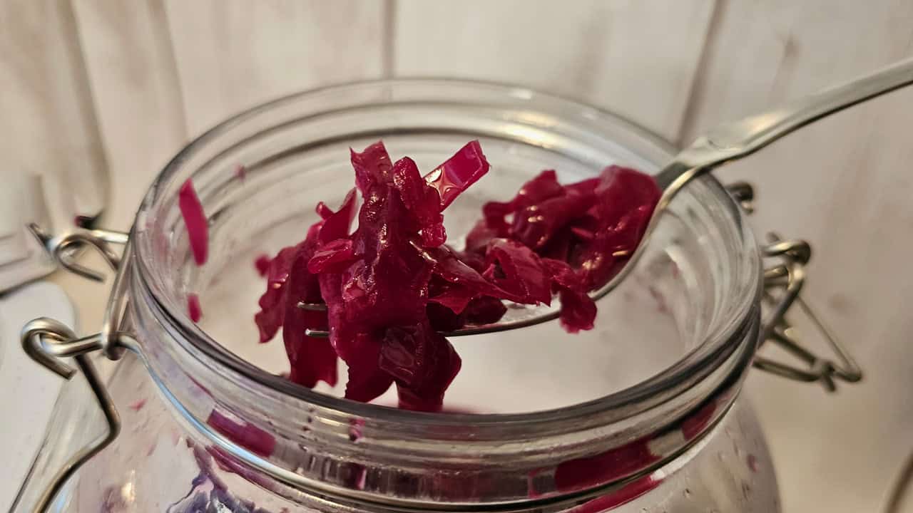 En gaffel løfter fermentert rødkål/sauerkraut fra en åpen glasskrukke mot en lys trebakgrunn.
